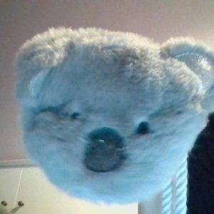 mini zara sparkle koala bag kids